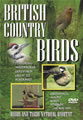 British Country Birds