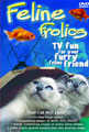 Feline Frolics - TV Fun For Your Furry Feline Friend