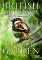 British Birds In Your garden