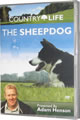 The Sheepdog