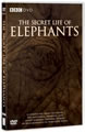 The Secret Life Of Elephants