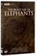 The Secret Life Of Elephants